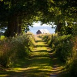 Teresa Welch Psychologist - photo of country road